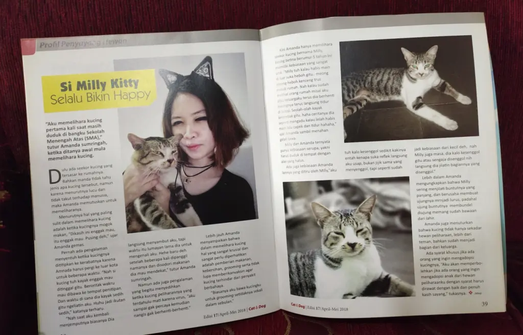 CAT-DOG-Magazine-2018 Amanda Desty