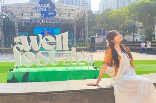 wellfest 2024